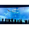 Personnalisez un aquarium en plastique transparent carré à grande taille