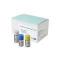 Kit de test des réactifs de PCR MonkeYPOX