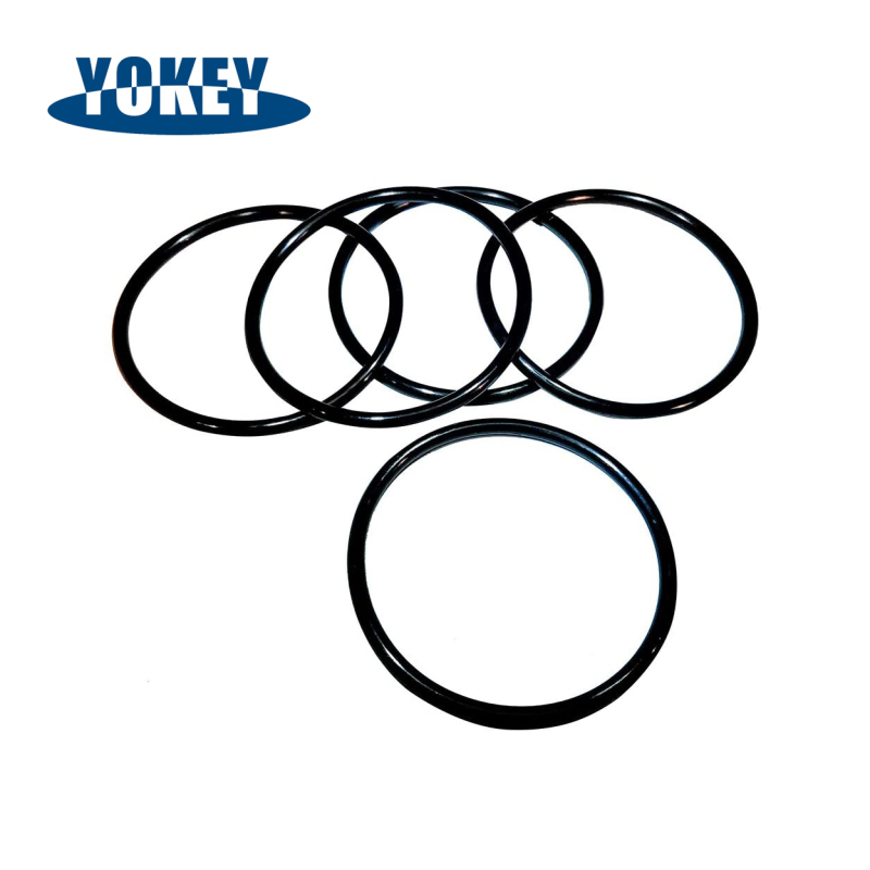 NBR O-Ring with Customized Size Standard and Nonstandard Rubber Seal O-Rings