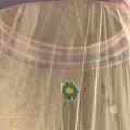 Rainbow Growing In The Daisy Mosquito Net