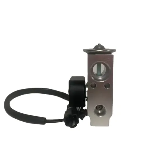 High Quality Auto Air Conditioner Expansion Valve Electronic for BMW X5 Rear OEM 64509313231