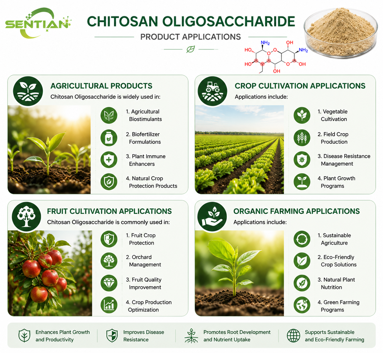 Chitosan Oligosaccharide（2）