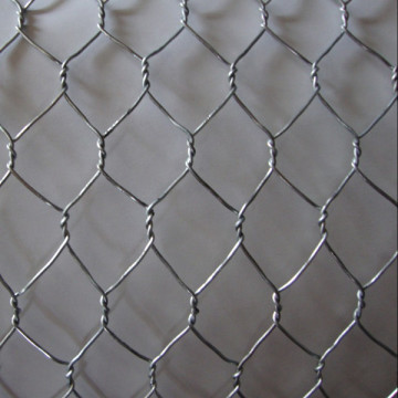 Best Chicken Wire Mesh