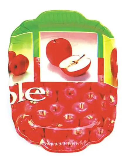 HW9966,PLASTIC PLATE