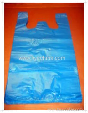 2013 Shopping Plastic Bags 