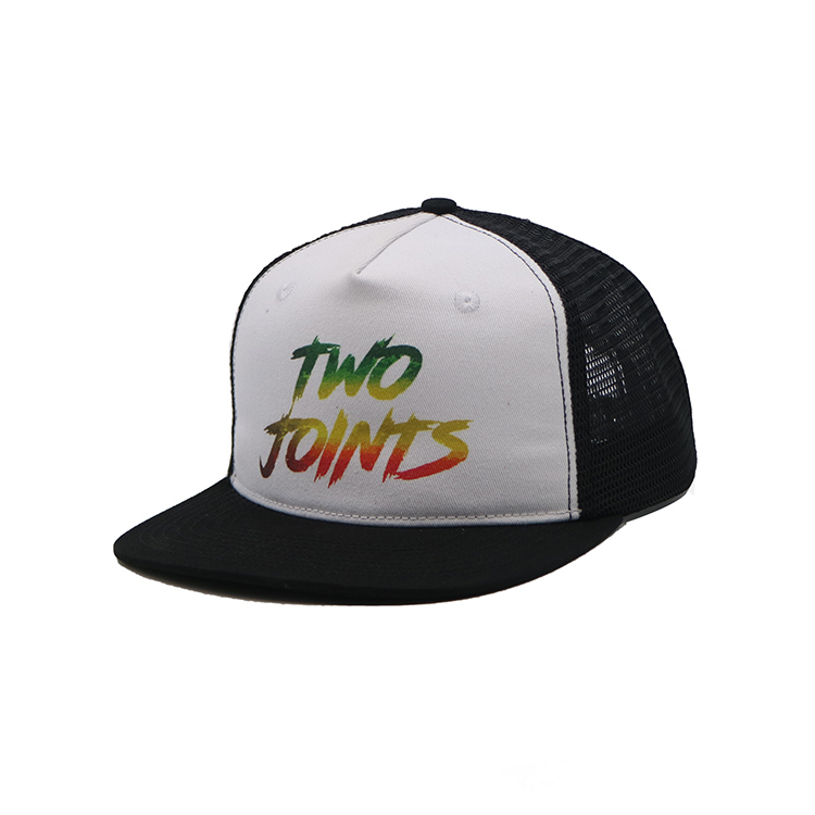 Two Tone Print Logo Snapback Mesh Hat