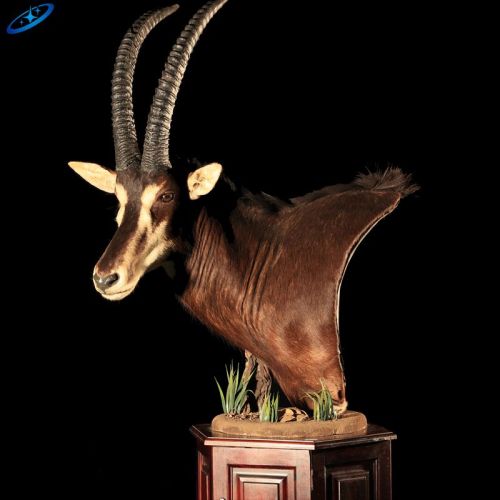 Model rusa animatronik ukuran hidup untuk pertunjukan