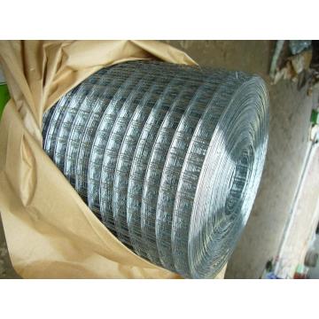 PVC Coated Welded Wire Mesh Garden Fence