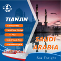 Cheap 20FT 40FT Container Sea Freight to Saudi Arabia North America