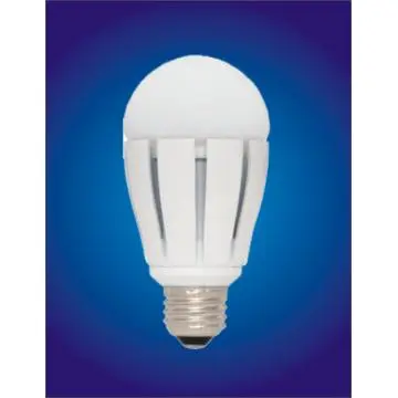 A60 LED BULBS  3000K