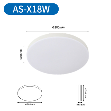 Emergency Back Up Light