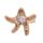 18k Gold Color Natural Seastar Drusy Crystal Rings