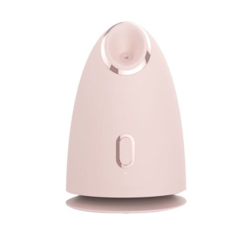 Limpiador facial de limpieza profunda Beauty Face Steamer