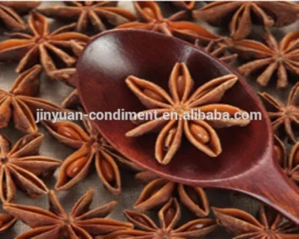 Star Anise Powder