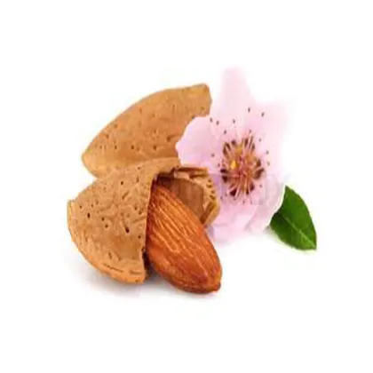 High quality cold Press Sweet Almonds Oil Bulk