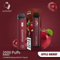 Gunnpod 2000 Puffs Defactable Vape Device Original