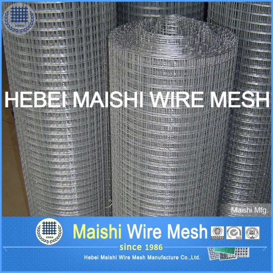 Galvanized steel wire mesh