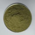 Giovane erba alfalfa biologica di alta qualità in polvere