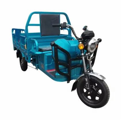 Adult Electric Cargo Tuk Tuk Tricycles - Price and Motorized Options