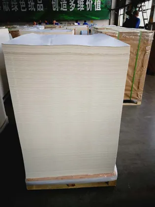 Teaching aids printed paper