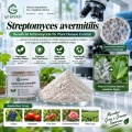 مسحوق Streptomyces avermitilis Microbial لإدارة التربة ومنطقة الجذر
