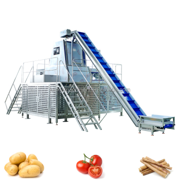 1-3t/hour Multi-Vegetable Steam Peeler for Taro, Apple, Peaches, Pepper, Potato, and Tomatoes
