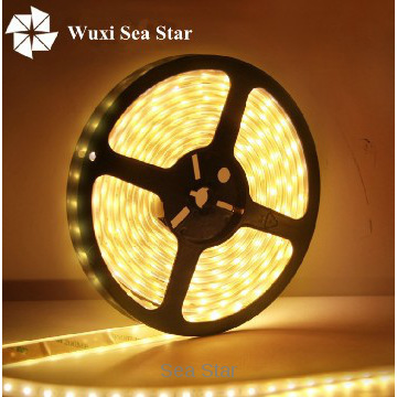 led light strips, 2835 SMD, 60pcs/m, DC24V