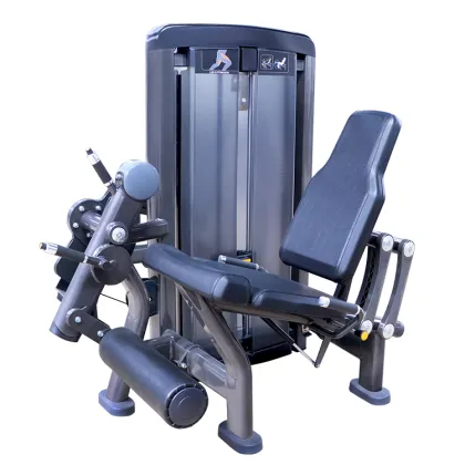 Leg Extension Machine Pin Load Selection Machines