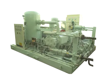 D-type CNG Compressor