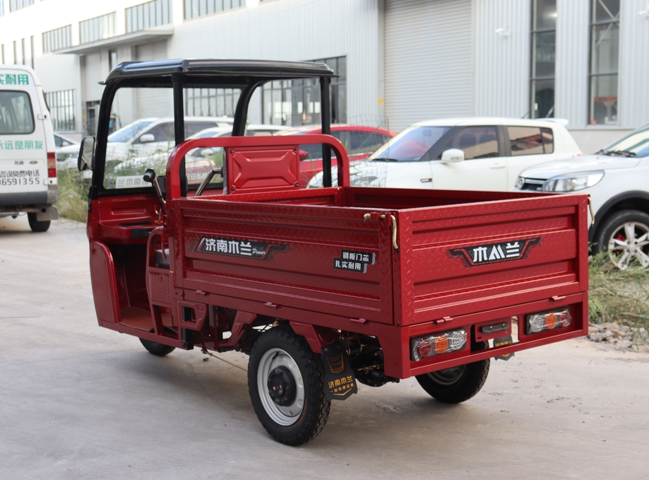 Manned Electric Tricycle