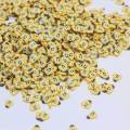 500g Polymer Hot Clay Sprinkles Pumpkin Clay Slice For Craft DIY Making  Slime Mud Filling Nai Art