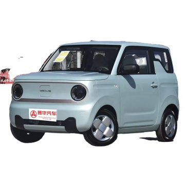 Geely Panda Mini: Sức bền 200km, Gấu Điện thuần khiết với hình ảnh đảo ngược-Năng lượng mới 3 cửa xe người lớn