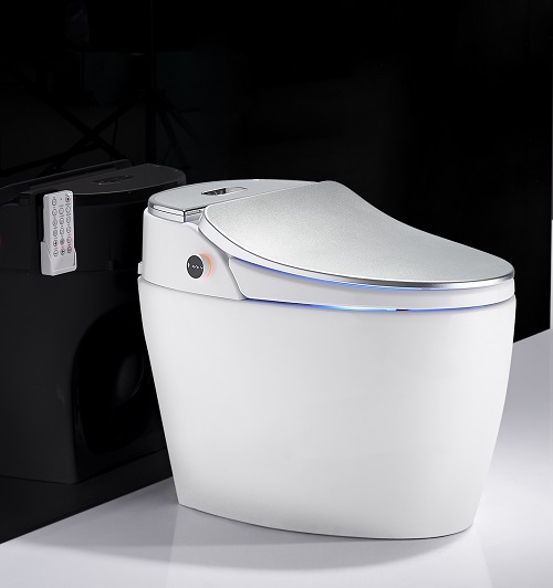 Sliver color Floor mounted P-trap Smart Toilet