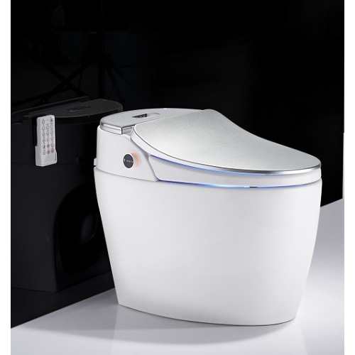 swimming pool and spa One Piecet Sliver Color P-trap Smart Toilet Supplier