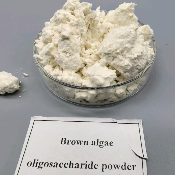 plant immunity AOS Alginate oligosaccharide (37)