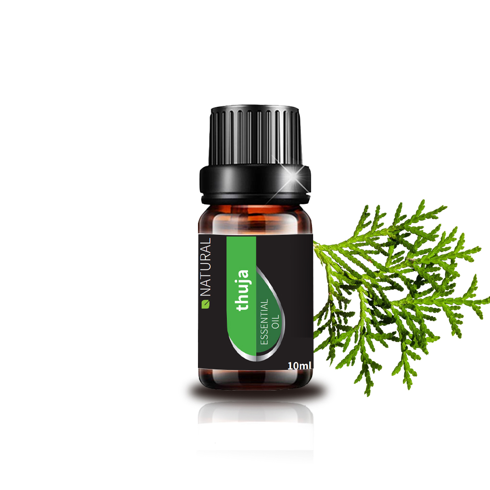 روغن اسانس Cypress aromantheraphy برای مراقبت از پوست حشرات دافع