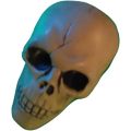 Halloween Plastic Skull toys