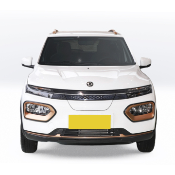 Pabrik Grosir: Dongfeng Nano Box EV-SUV Elektrik Long Range 4-Door 4-Door