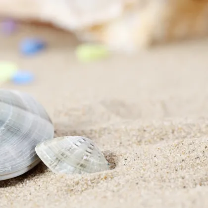 Philippine Sand for Aquarium and Landscaping