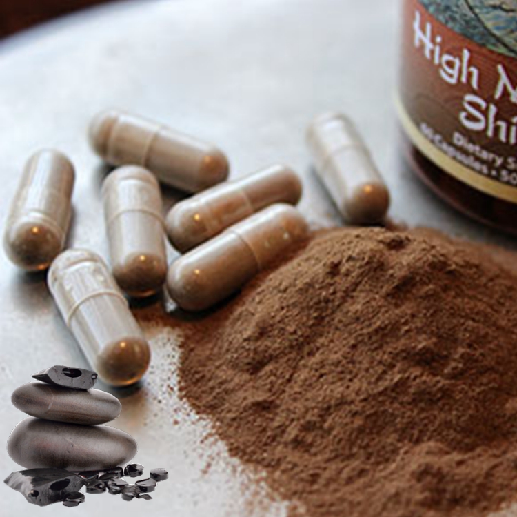 shilajit extract2