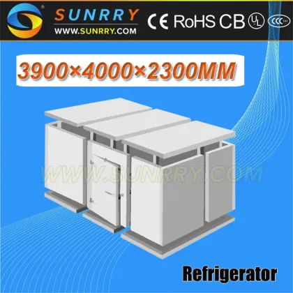 High quality mini cold storage equipment for onion