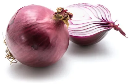 Red fresh onion from shandong