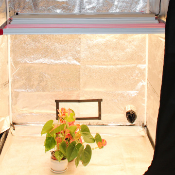 Sepctrum completo di luce per piante da interno dimmerabile di vendita calda