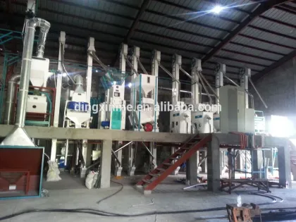 DSTG series Rice Milling Plant Rice Bucket Elevator