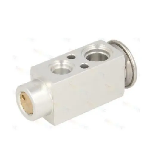 Auto AC Expansion Valve for Volvo 21396727 1822560 7421396