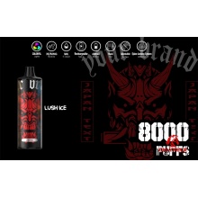 650mAh Batterie wiederaufladbare 8000 -Puffs Vape