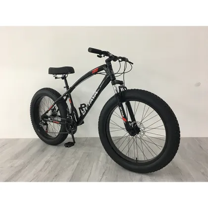 Classical 26 Inch Steel 21 Speed Fat Bike with Speed Meter