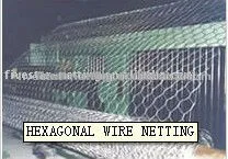 1/2" diamond hexagonal weaving wire netting
