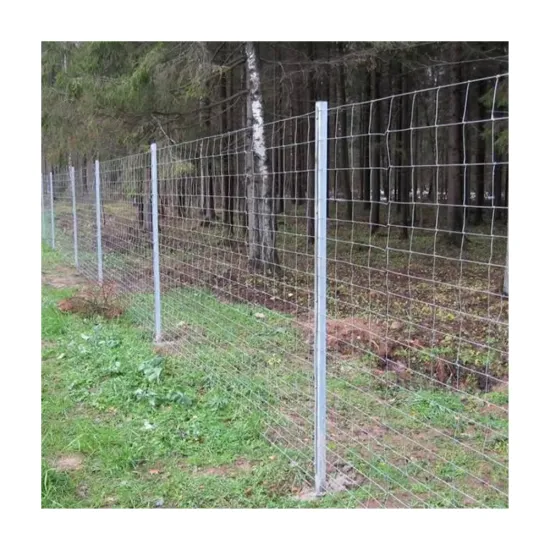 Hot Dip Galvanized Hinge Knot Farm Fence for Security