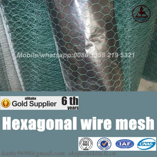 china anping galvanized hexagonal wire mesh 10mm